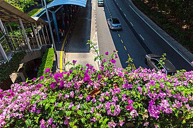 《黎明行者之血》总监：我们离开CDPR 是因为有疯狂想法